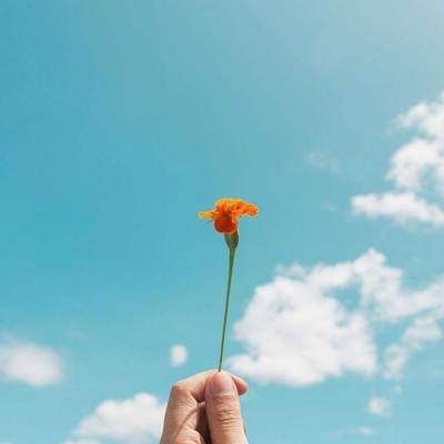 博鱼电竞手机app下载