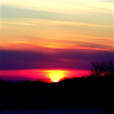 幸运彩票app官方版下载